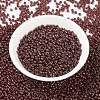 MIYUKI Round Rocailles Beads SEED-JP0009-RR0309-2
