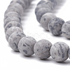 Natural Map Stone/Picasso Stone/Picasso Jasper Beads Strands G-T106-221-2