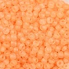 6/0 Luminous Glass Seed Beads X1-SEED-NH0001-01E-3