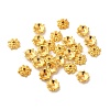 Tibetan Style Alloy Caps LS-K095D012-1