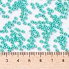 MIYUKI Round Rocailles Beads X-SEED-G008-RR4475-2