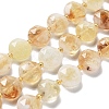 Natural Citrine Beads Strands G-NH0004-028-1