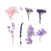 Dried Flowers DIY-D052-11-2