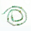 Natural Chrysoprase Beads Strands G-D0002-B21-2