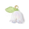 5Pcs Transparent Acrylic Pendants PALLOY-JF04703-01-2