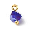 Electroplate Glass Charms PALLOY-JF00821-01-4
