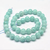 Natural Amazonite Bead Strands G-P204-02-10mm-3