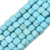 Natural Magnesite Beads Strands G-Z143-C01-01-2
