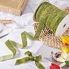 Sparkle Polyester Ribbon OCOR-WH0082-158A-02-5
