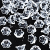 Transparent Glass Beads GLAA-Q089-002C-001-1