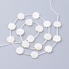 Natural White Shell Beads X-SSHEL-Q298-06-2