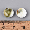 Natural Shiva Eye Shell Beads BSHE-T014-33B-4