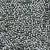 FGB 11/0 Grade A Glass Seed Beads SEED-S030-1213-2
