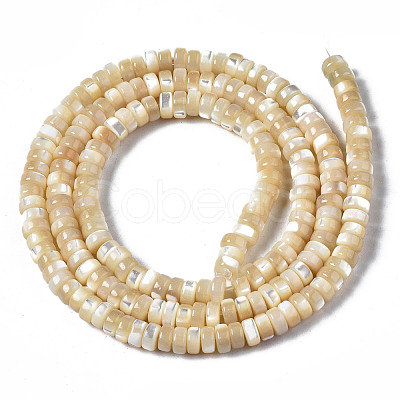 Natural Trochid Shell/Trochus Shell Beads Strands SSHEL-S266-019B-01-1
