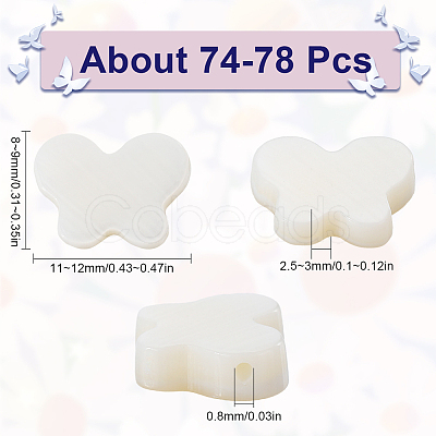 2 Strands Natural Freshwater Shell Beads Strands SHEL-SC0001-40-1