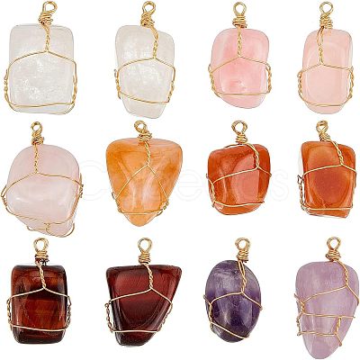 Fingerinspire 12Pcs Natural Gemstone Pendants FIND-FG0001-60-1