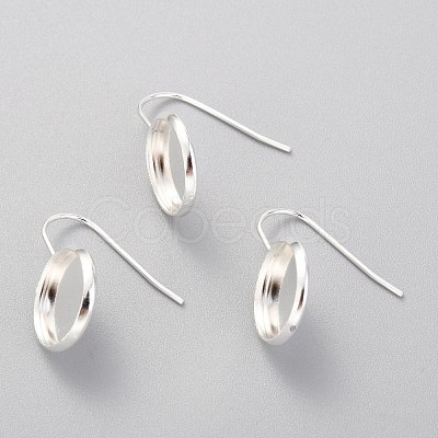 304 Stainless Steel Earring Hooks STAS-F227-22C-S-1