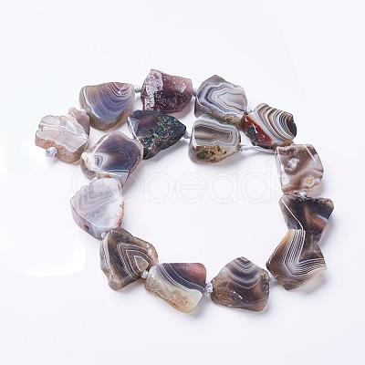 Natural Botswana Agate Beads Strands G-F506-10-1