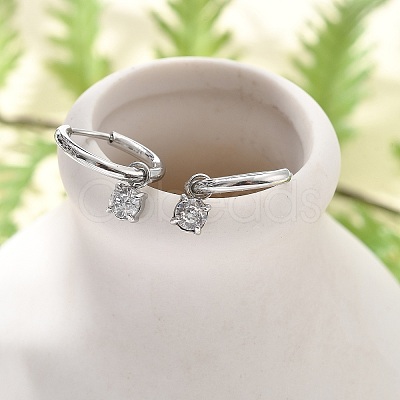 304 Stainless Steel Micro Pave Cubic Zirconia Hoop Earrings STAS-R004-02P-02-1