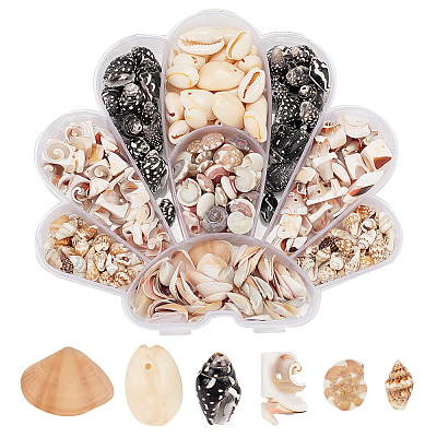6 Styles Natural Shell Beads Display Ornaments SHEL-PH0001-46-1
