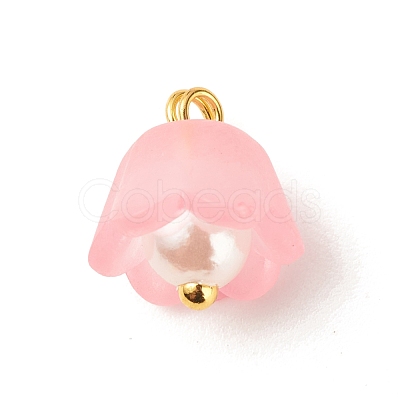 Transparent Acrylic Charms PALLOY-JF01603-01-1