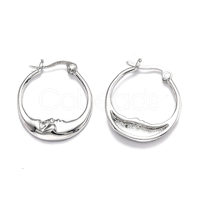 Brass Micro Pave Clear Cubic Zirconia Hoop Earrings EJEW-J101-28P-1