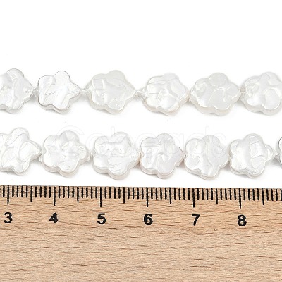 Electroplate Shell Pearl Beads Strands BSHE-Z009-07-01-1