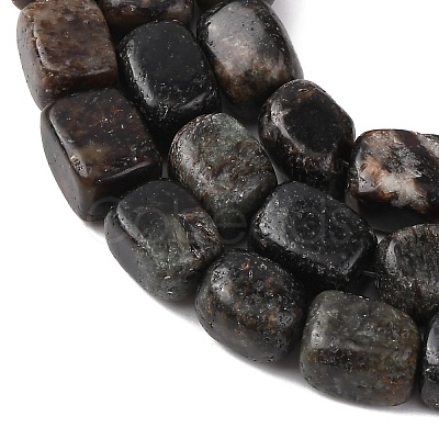 Natural Biotite Beads Strands G-D098-D15-1