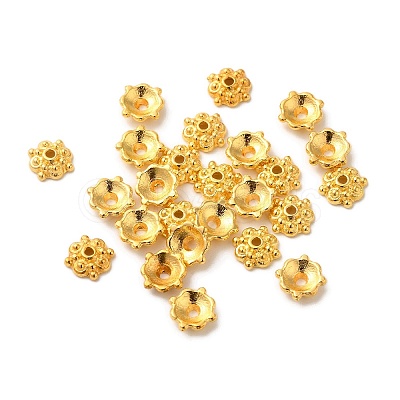 Tibetan Style Alloy Caps LS-K095D012-1