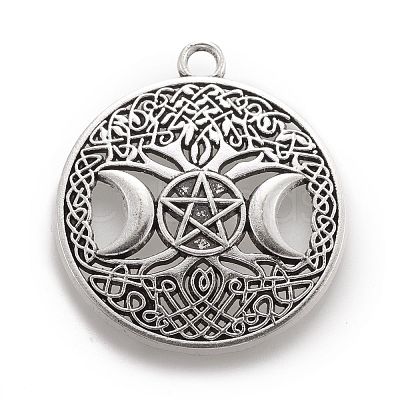 Tibetan Style Hollow Alloy Pendants TIBEP-F075-01AS-RS-1