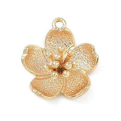 Brass Pendants KK-D263-01G-05-1