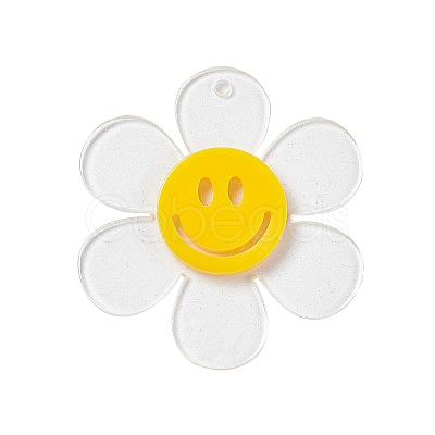 Transparent Acrylic Big Pendants OACR-P012-A06-1