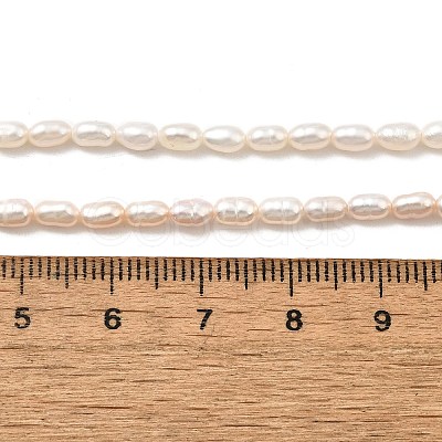 Natural Cultured Freshwater Pearl Beads Strands PEAR-I007-01L-01B-1