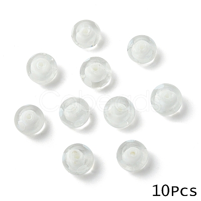 10Pcs Handmade Lampwork Beads LAMP-YW0001-96E-1