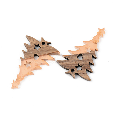 Transparent Resin & Walnut Wood Pendants RESI-S389-018A-B04-1