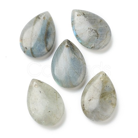Natural Labradorite Pendants X-G-B013-06A-01-1