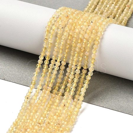 Natural Citrine Beads Strands G-Z074-A03-01-1