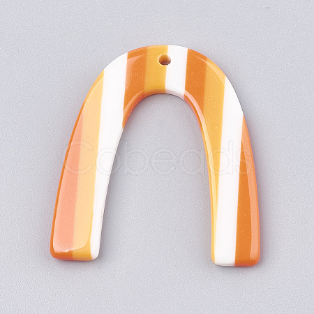 Resin Pendants CRES-T008-38E-1