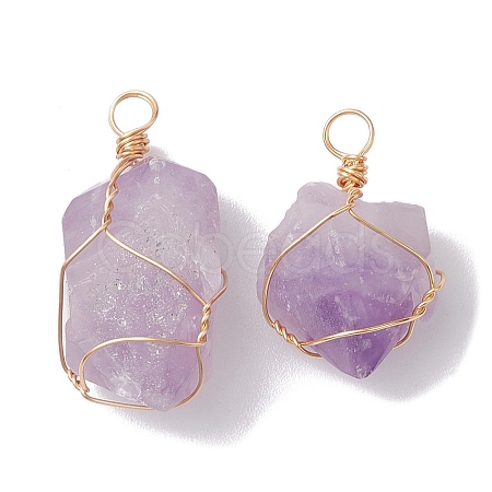 Raw Rough Natural Amethyst Copper Wire Wrapped Pendants PALLOY-JF02787-01-1