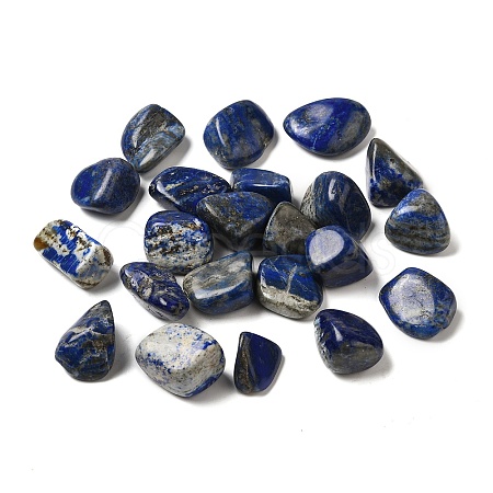 Natural Lapis Lazuli Beads G-O029-08V-1