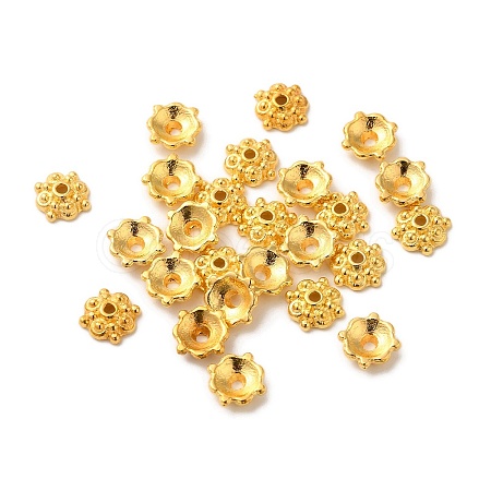 Tibetan Style Alloy Caps LS-K095D012-1
