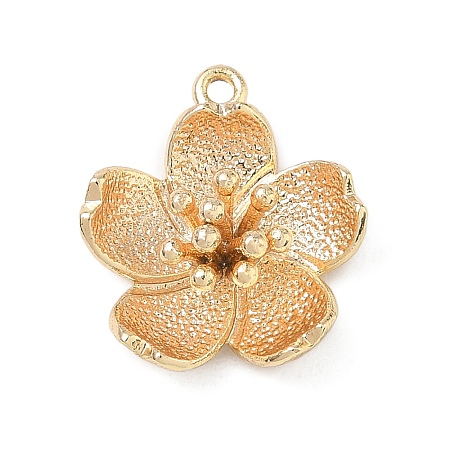 Brass Pendants KK-D263-01G-05-1