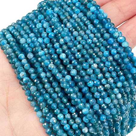 Natural Apatite Beads Strands X-G-Z057-B02-02-1