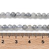 Natural Labradorite Beads Strands G-L651-C11-4mm-5