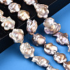 Baroque Natural Nucleated Keshi Pearl Beads Strands PEAR-S020-A02-2