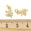 Brass Micro Pave Clear Cubic Zirconia Charms KK-Z044-32G-3