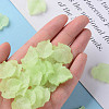Transparent Frosted Acrylic Pendants X-PAF002Y-18-6