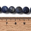 Natural Sodalite Beads Strands G-Q462-8mm-07-6