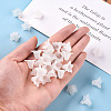 Transparent Acrylic Beads PLF018-01-6