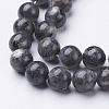 Natural Larvikite Beads Strands X-GSR10mmC128-2